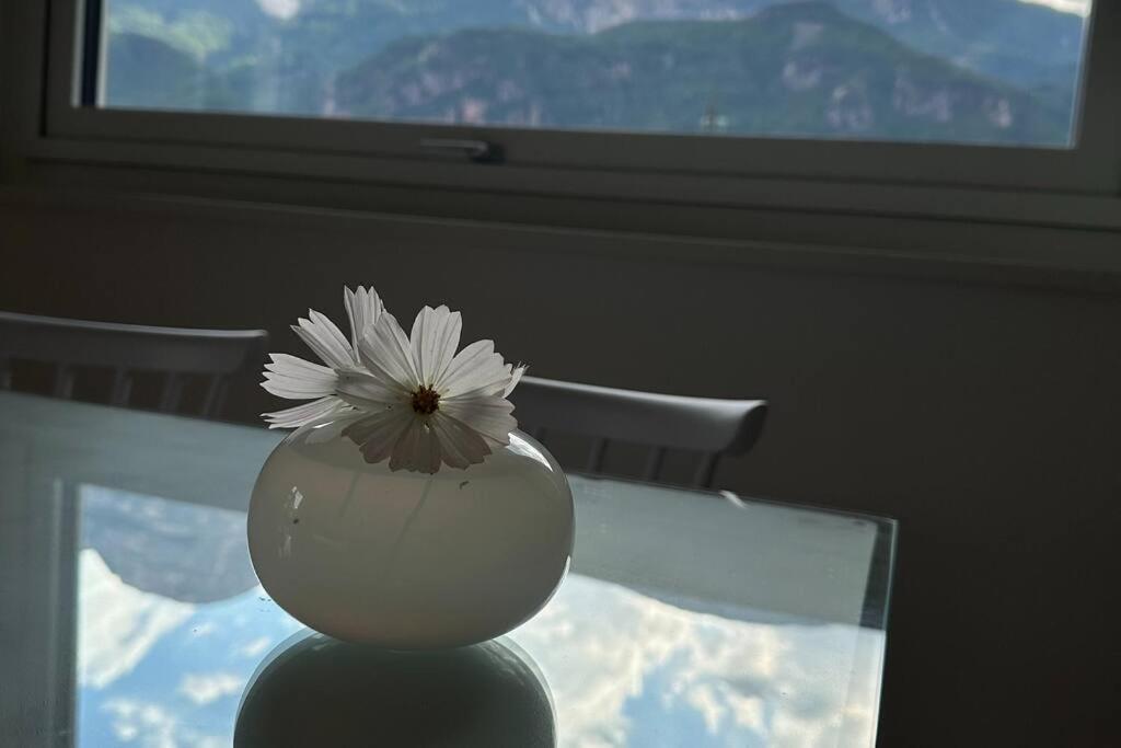 Haus Hafner Sonniges Apartment テルラーノ エクステリア 写真