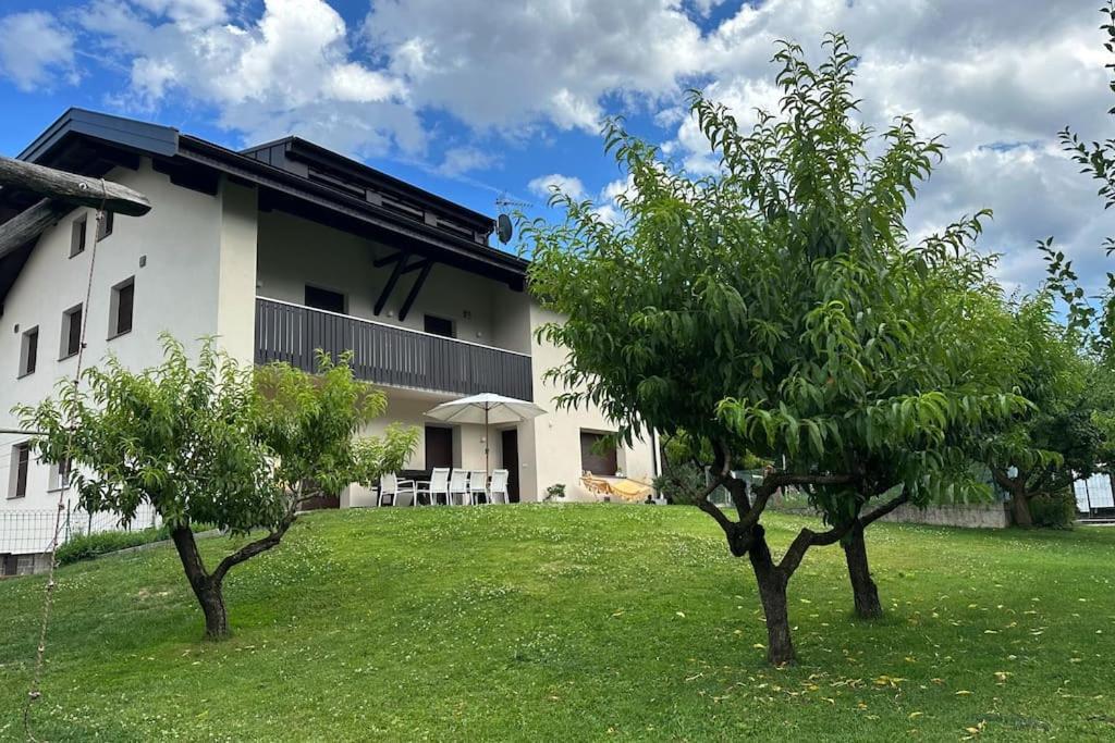 Haus Hafner Sonniges Apartment テルラーノ エクステリア 写真